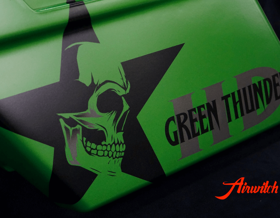 Harley Davidson Koffer für Touring in AMG Grün mit Totenkopf, Stern und Logoschriftzug