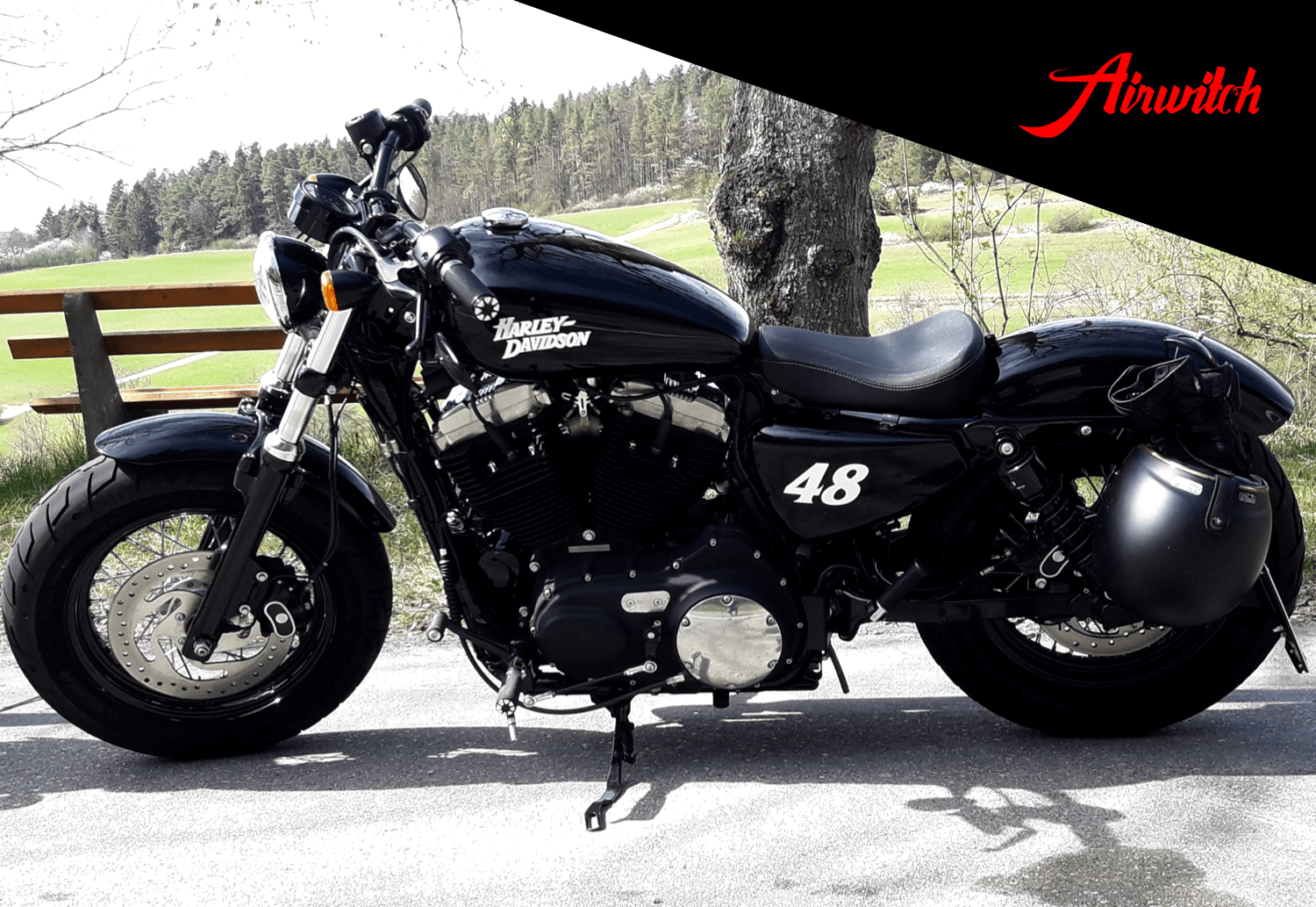 Custom Paint Harley Davidson Sportster Lackierung Timeless in Black & Silverleaf