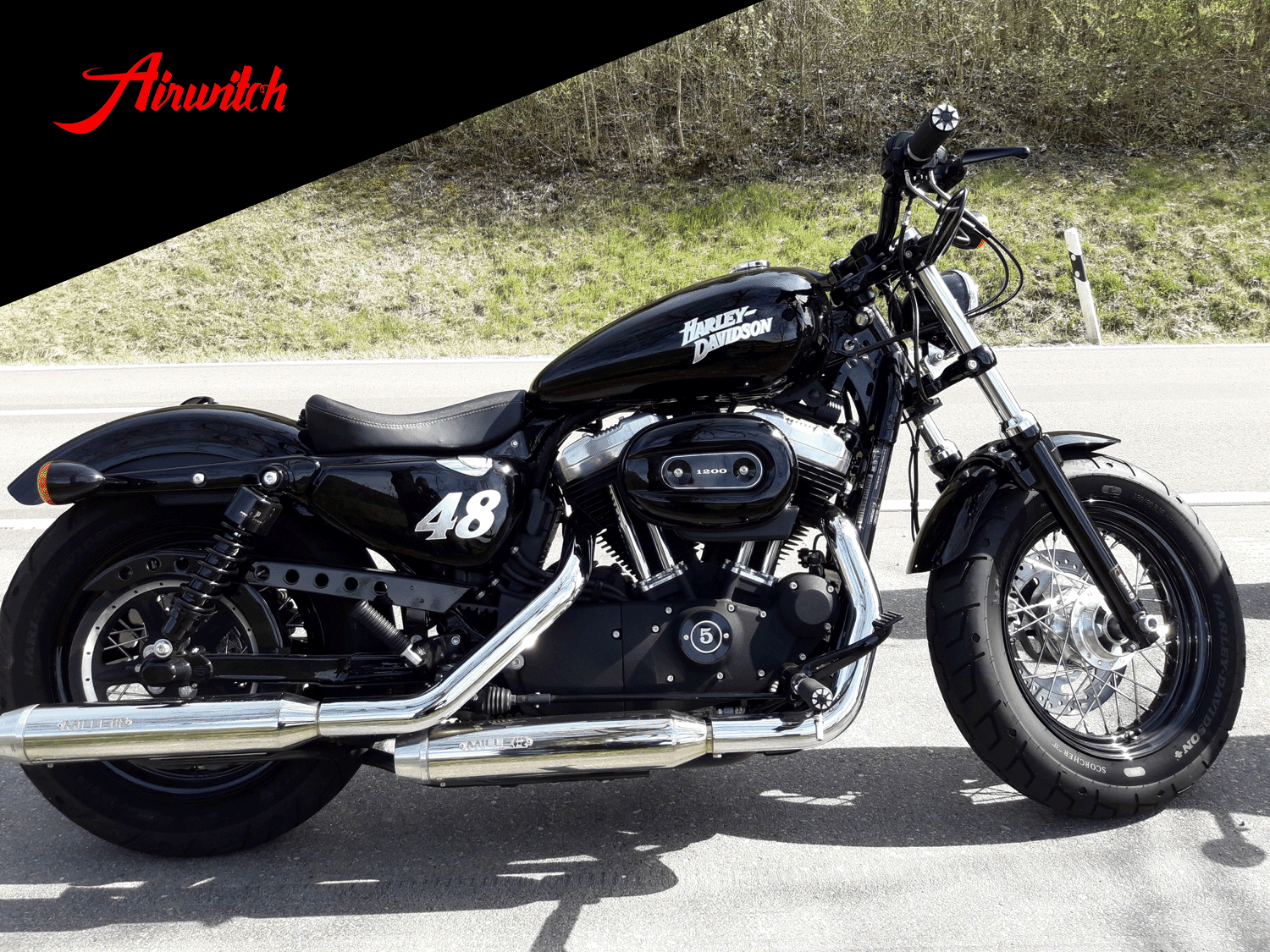 Custom Paint Harley Davidson Sportster Lackierung Timeless in Black & Silverleaf